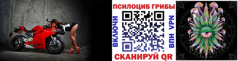 kraken сайт  Шагонар  Галлюциногенные грибы MAGIC MUSHROOMS 